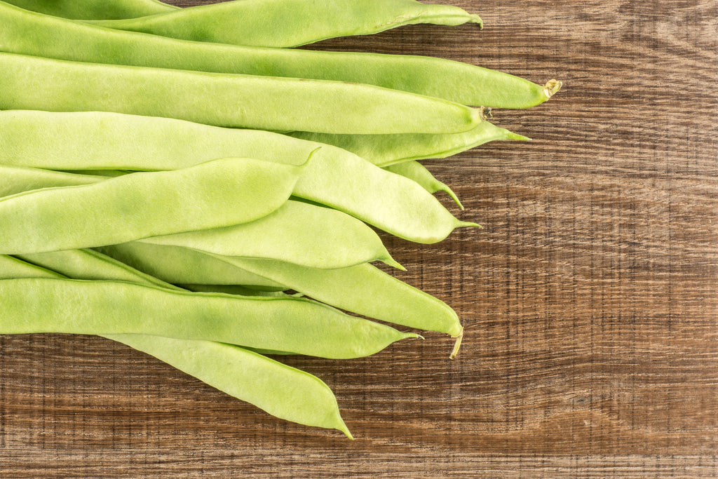 Roma II Bush Bean Seeds Heirloom Hometown Seeds