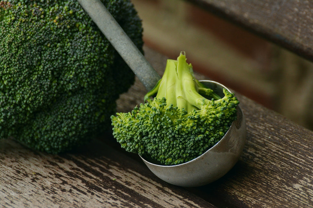 Destiny Hybrid Broccoli Seeds – Hometown Seeds