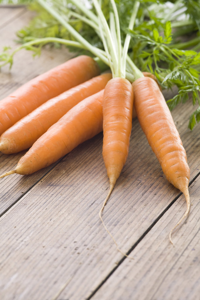 Little Finger Carrot Seeds Heirloom Hometown Seeds