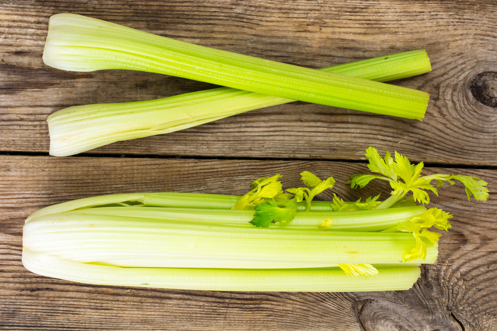 Golden SelfBlanching Celery Seeds Heirloom Hometown Seeds