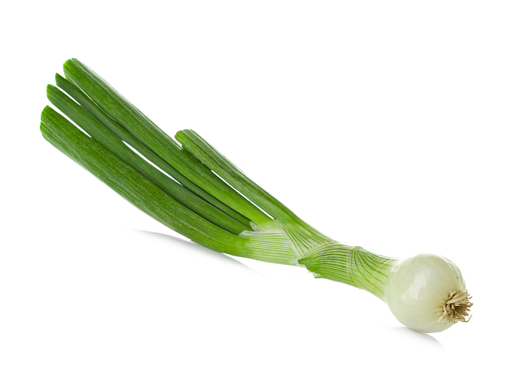 Pickling Crystal White Wax Onion Seeds - Heirloom – Hometown Seeds