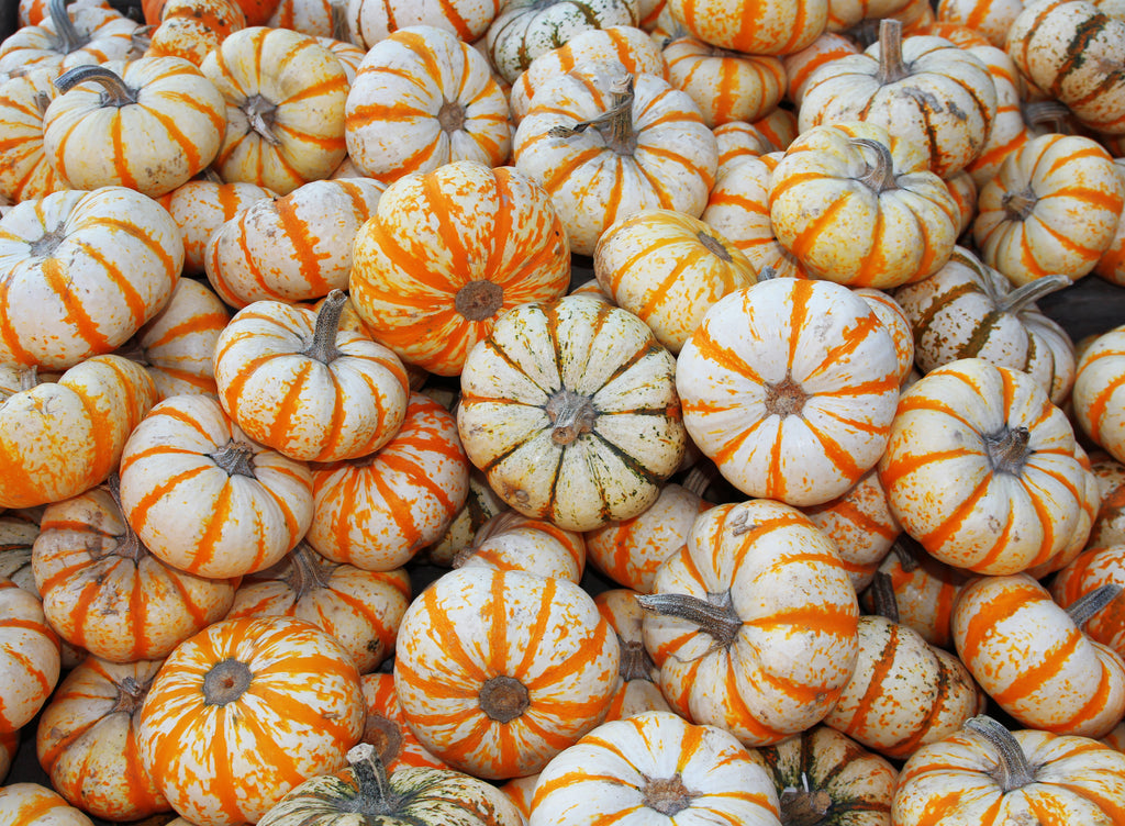 ☆pamcoco☆　LehmanStickHokkaido153 Amazon Leaf Belted Silk Dress | GUESS