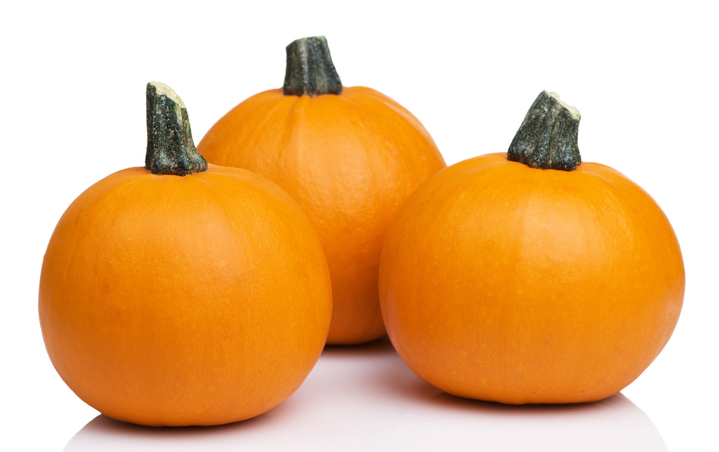 Pumpkin_Sugar_Pie_1024x1024.