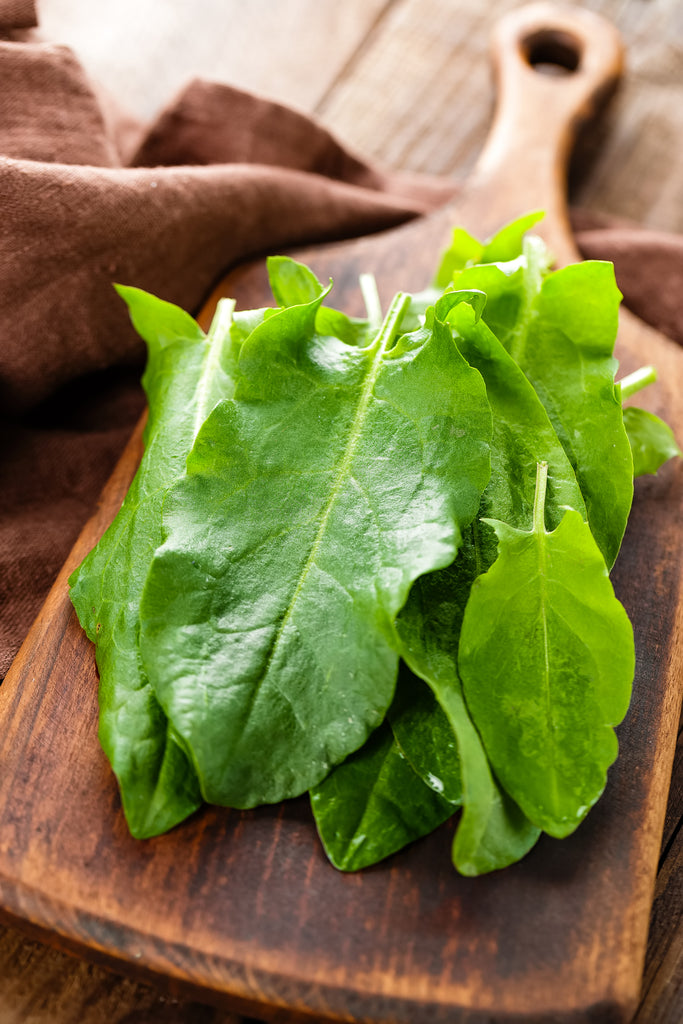 large leaf sorrel herb seeds for planting Sorrel Large Leaf Seeds