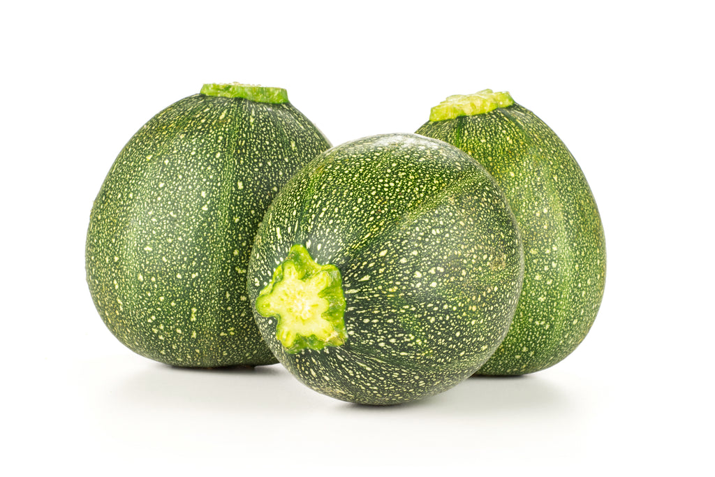 Squash_Summer_Zucchini_Eight_B
