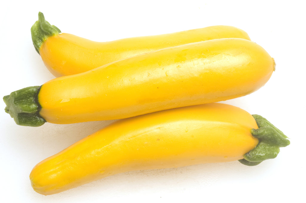 Squash_Summer_Zucchini_Gold_Ru