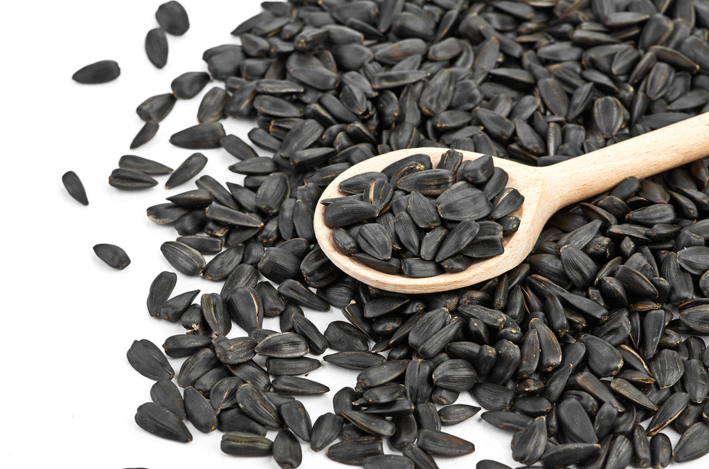 black oil sunflower seed for planting Black Oil Sunflower Organic Sprouting Seeds – Hometown Seeds