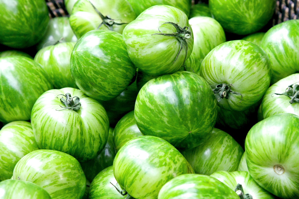 Tomato_GreenZebra2_1024x1024.
