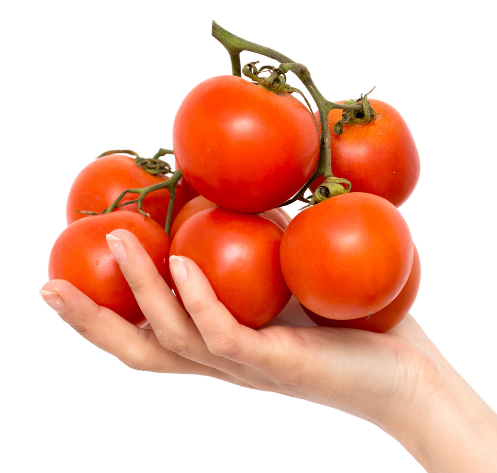 Jet Star Hybrid Tomato Seeds – Hometown Seeds