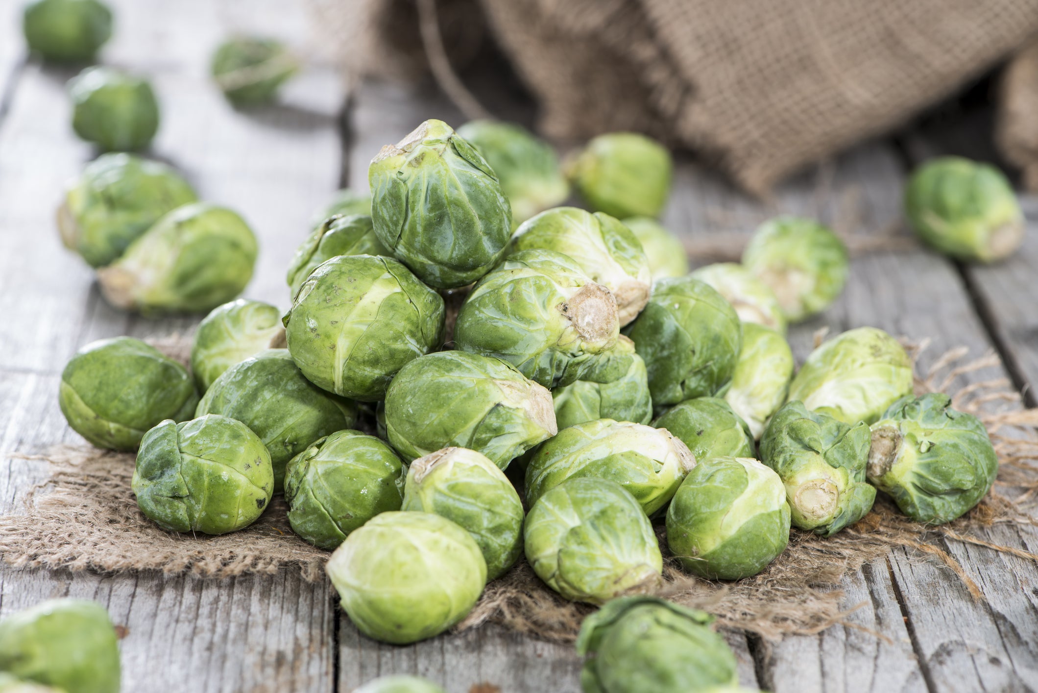 Bavaglino A Maniche Lunghe Green Sprouts: Impermeabile, Copertura Totale, Con Tasca, Pink Blossom 12-24 Mesi