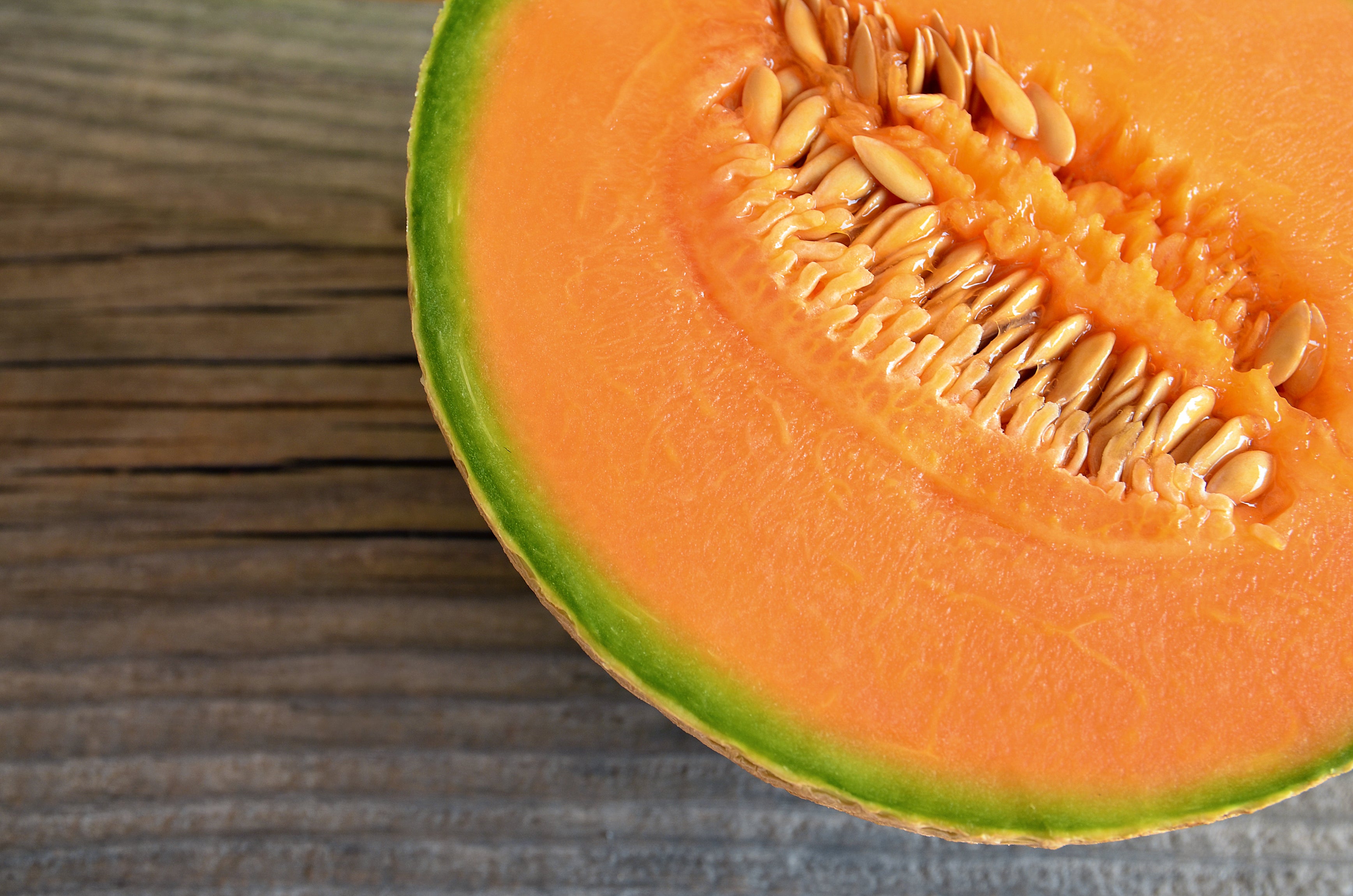 planting cantaloupe seeds from fruit Ball 2076 Hybrid Cantaloupe Seeds
