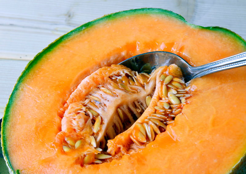 plant cantaloupe seeds Hearts of Gold Cantaloupe Seeds