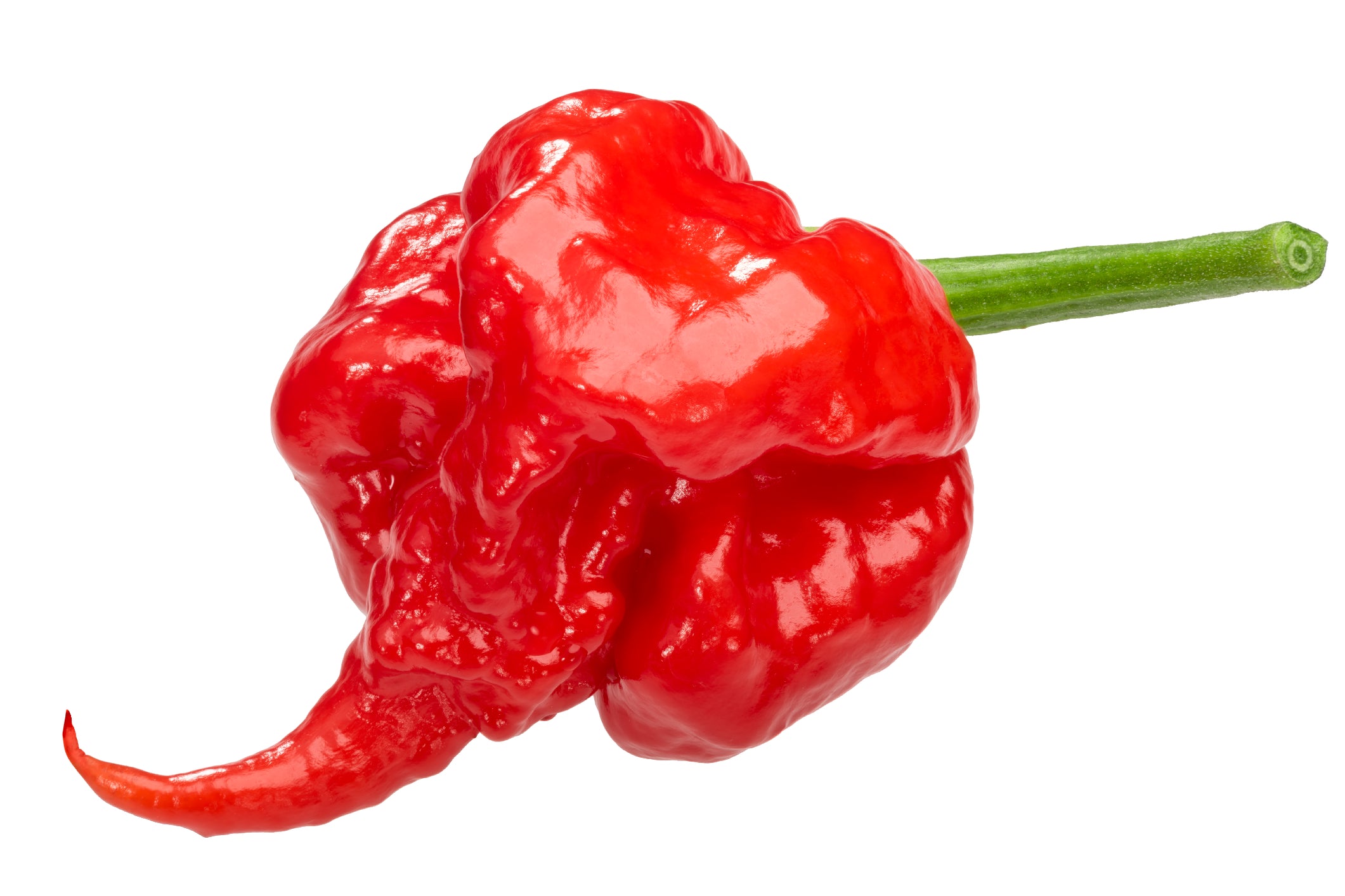 Mustard Carolina Reaper - Seeds