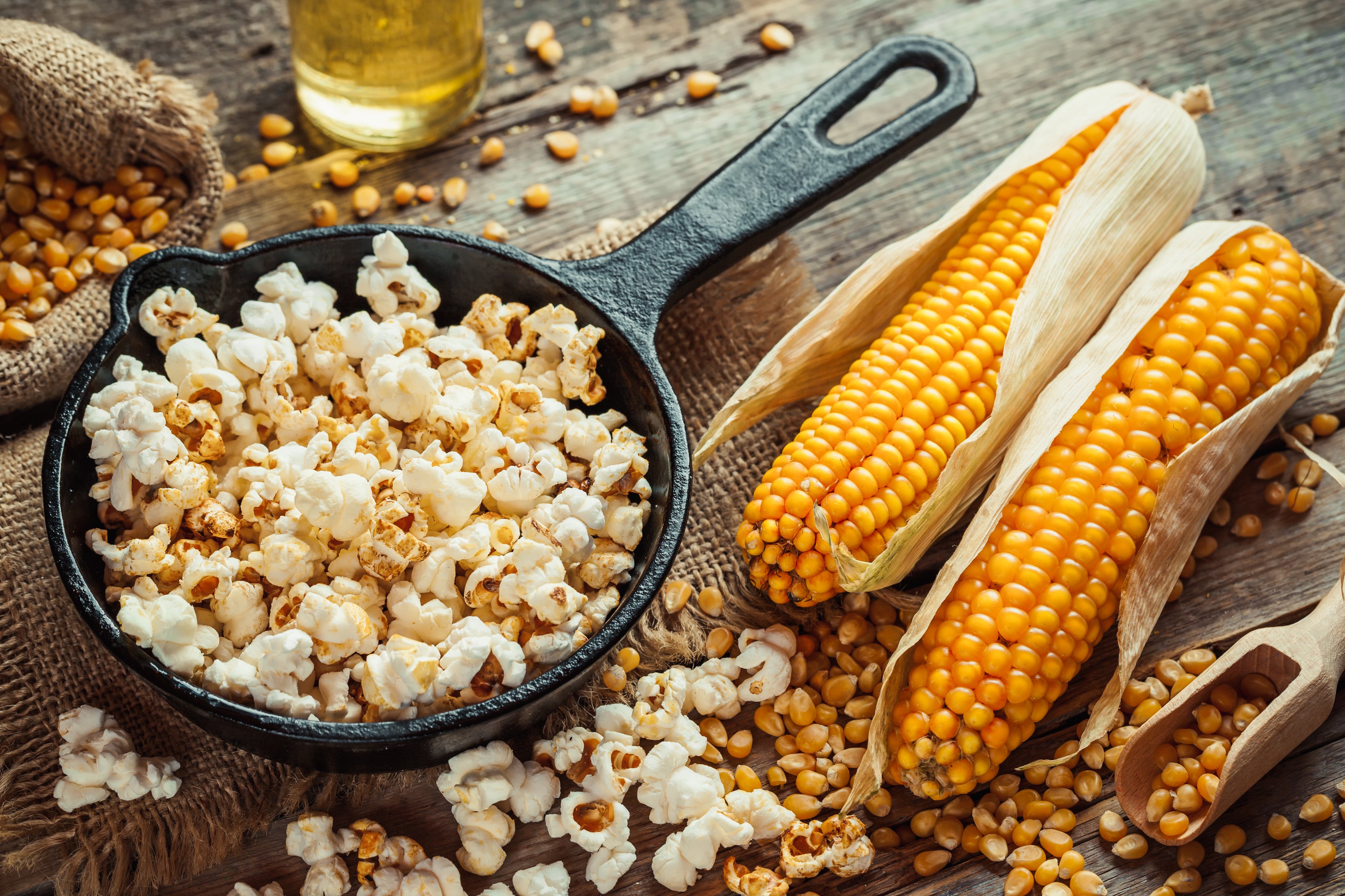 organic popcorn seeds for planting Popcorn, Yellow Hulless Hybrid Corn Seeds