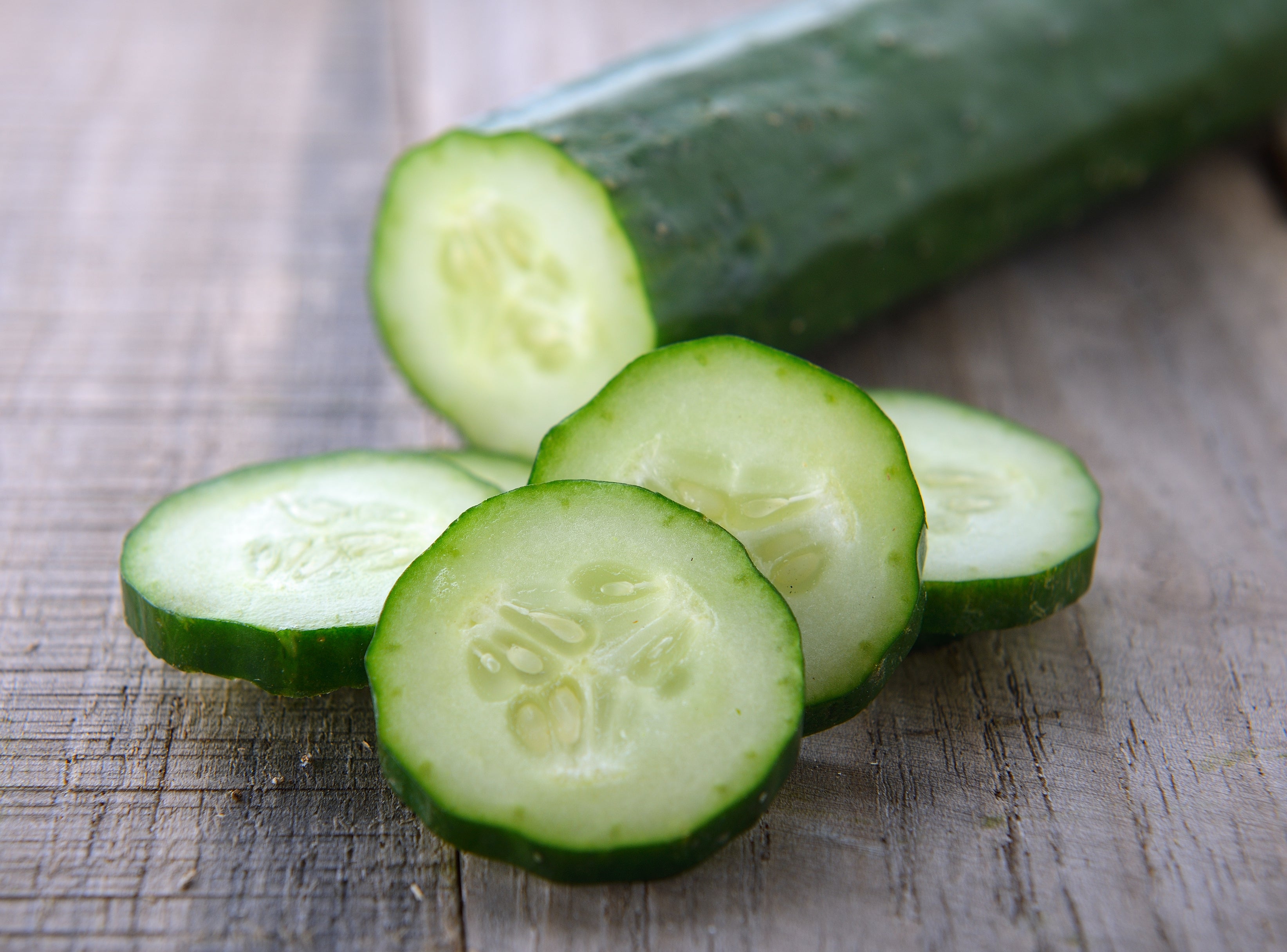 garden sweet burpless cucumber seeds Sweet Success Hybrid Burpless Cucumber Seeds – Hometown Seeds