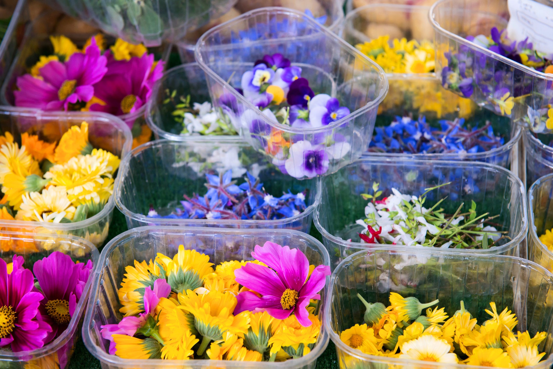 Edible Flower Mix Seeds