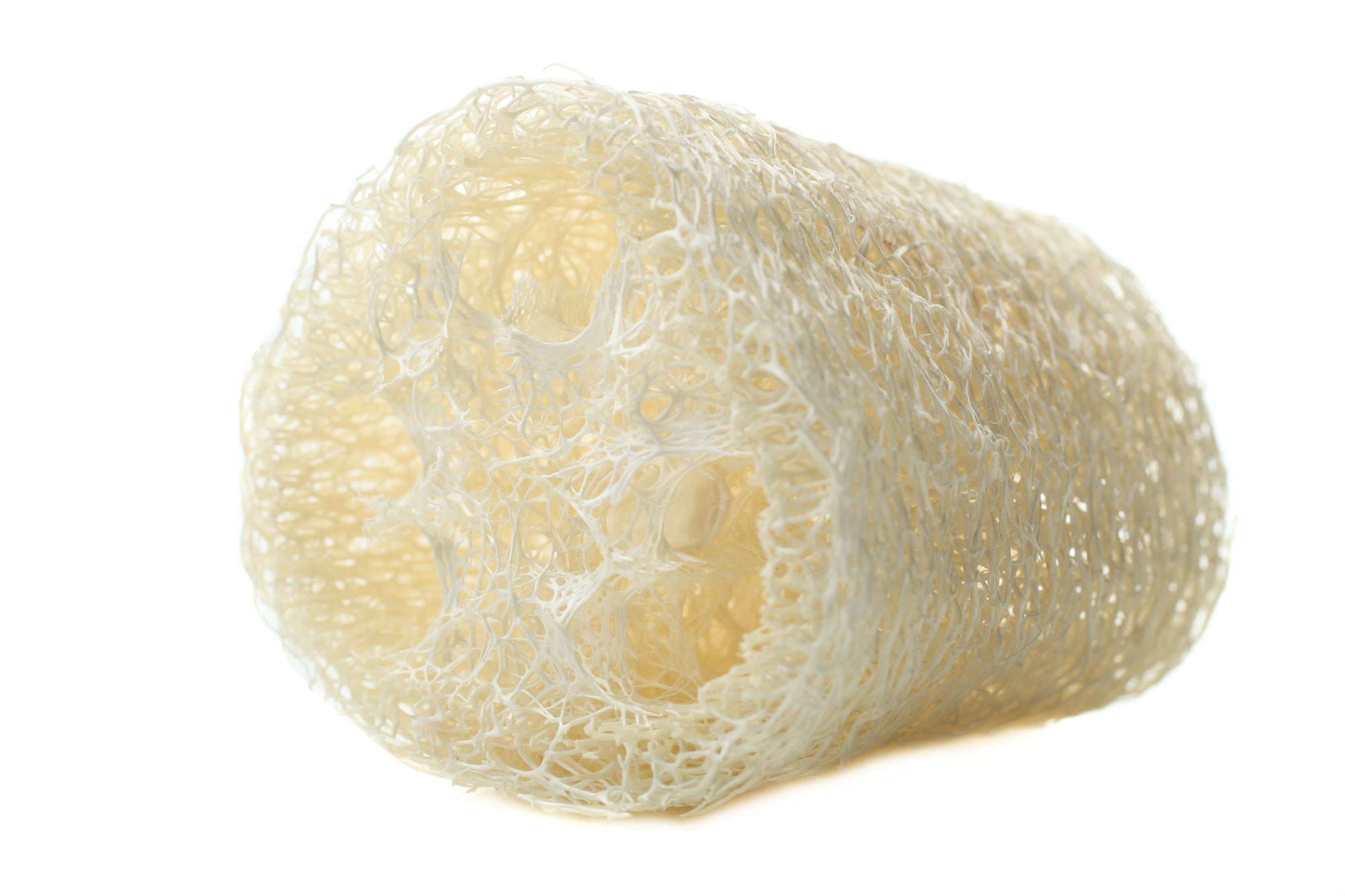 sponge plant seeds Luffa Sponge Gourd Seeds