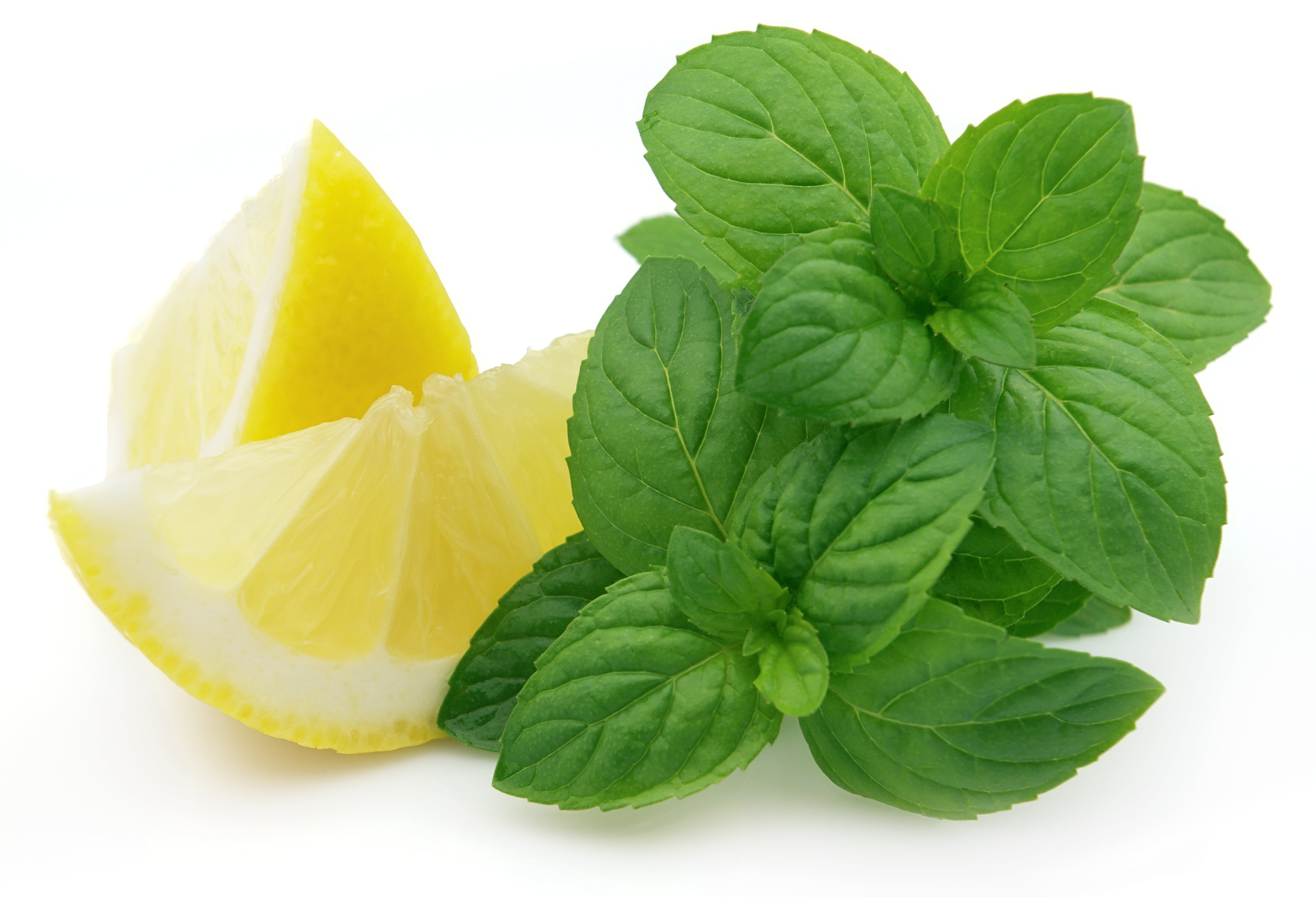 Mint Png Mint Png