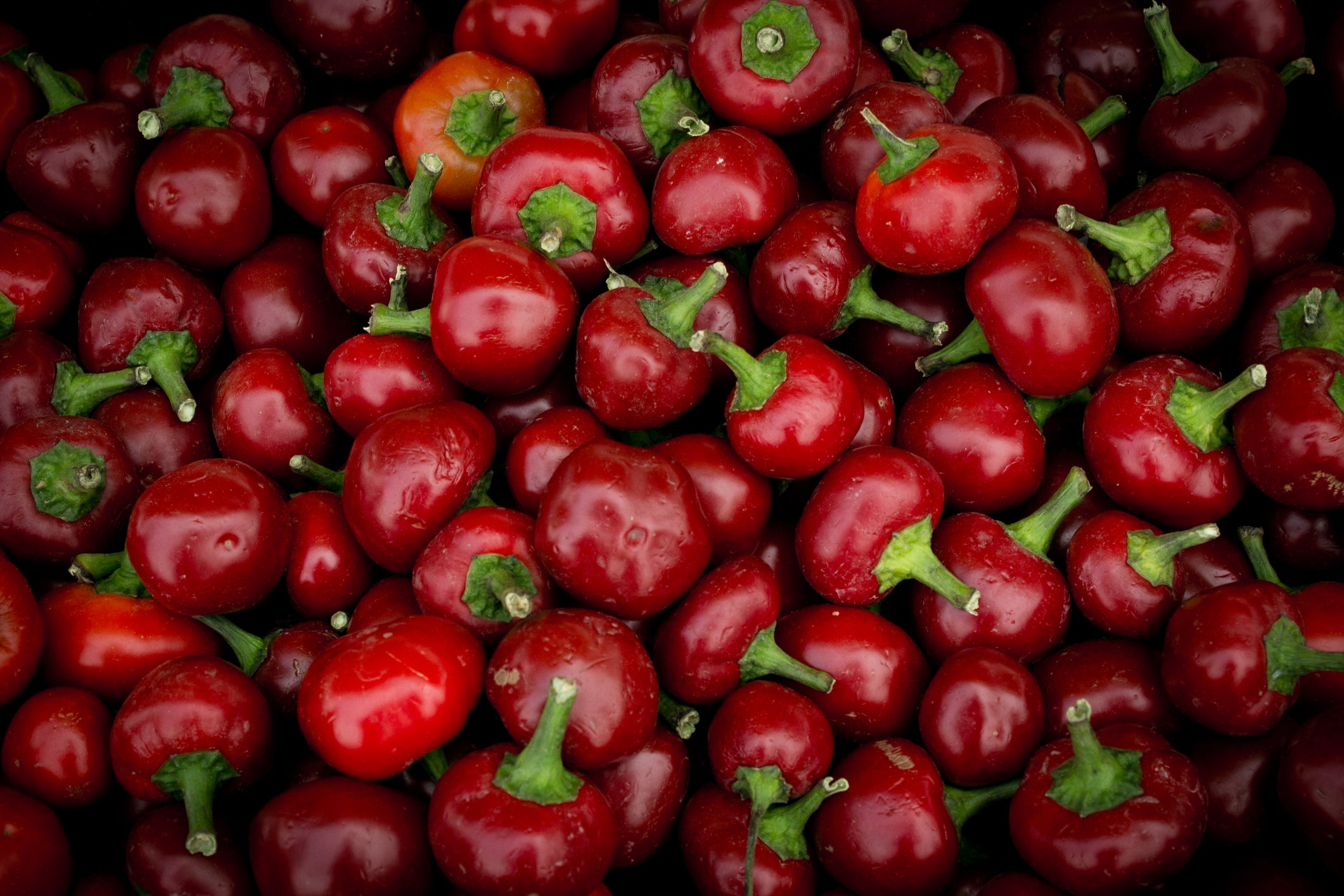 pimento seeds for planting Pepper, Sweet Pimento L