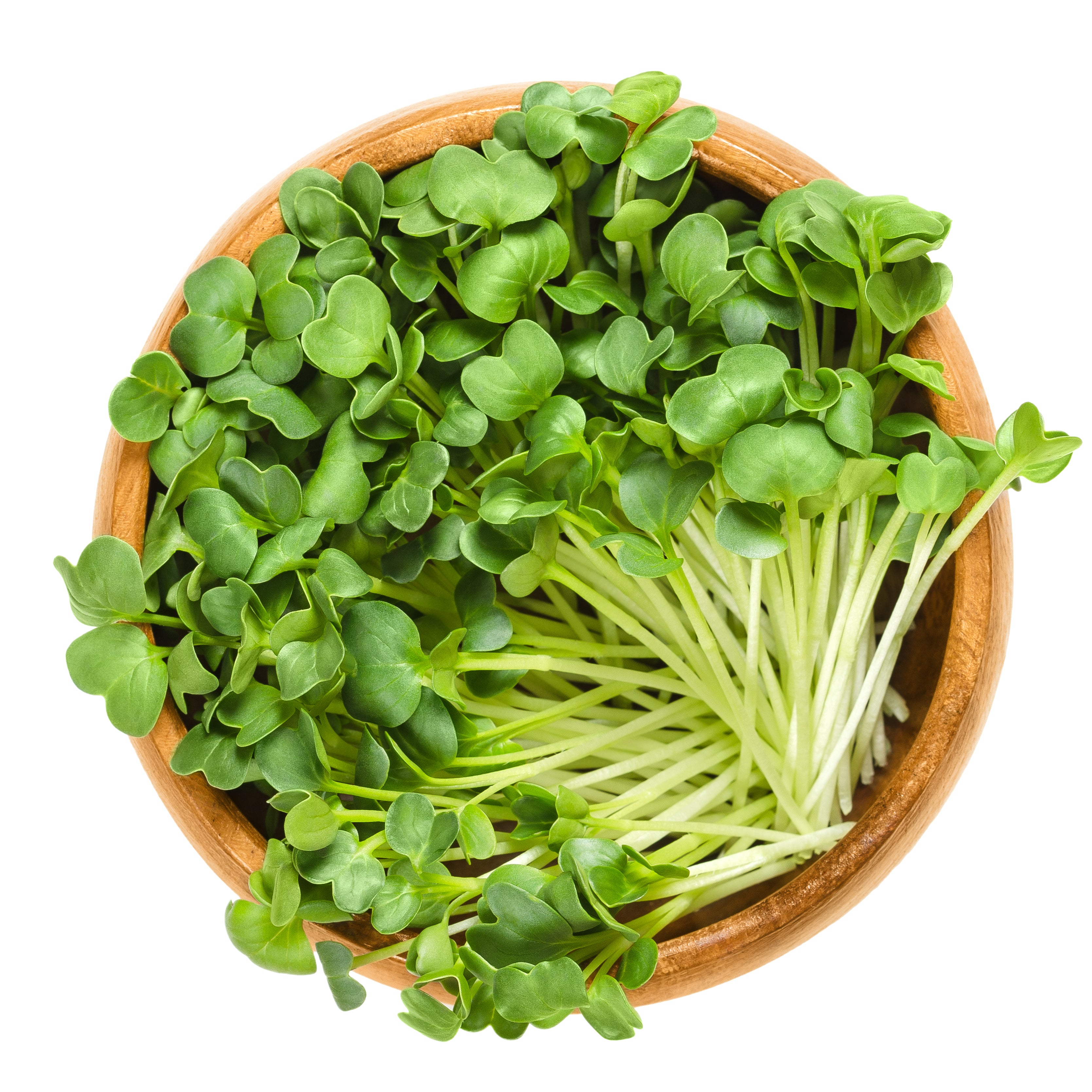 Organic Cress seeds for Sprouts