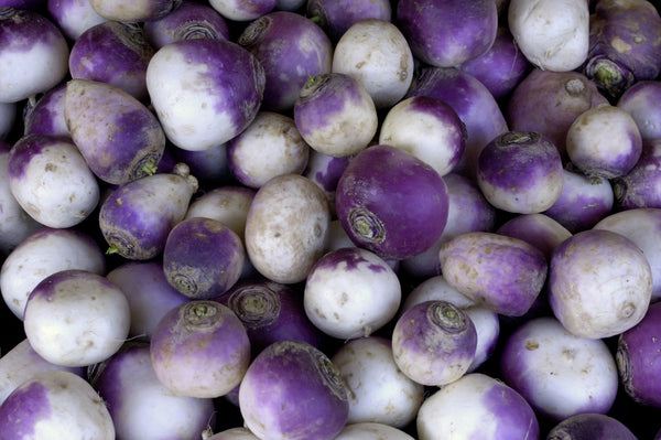 American Purple Top Rutabaga Seeds - Heirloom