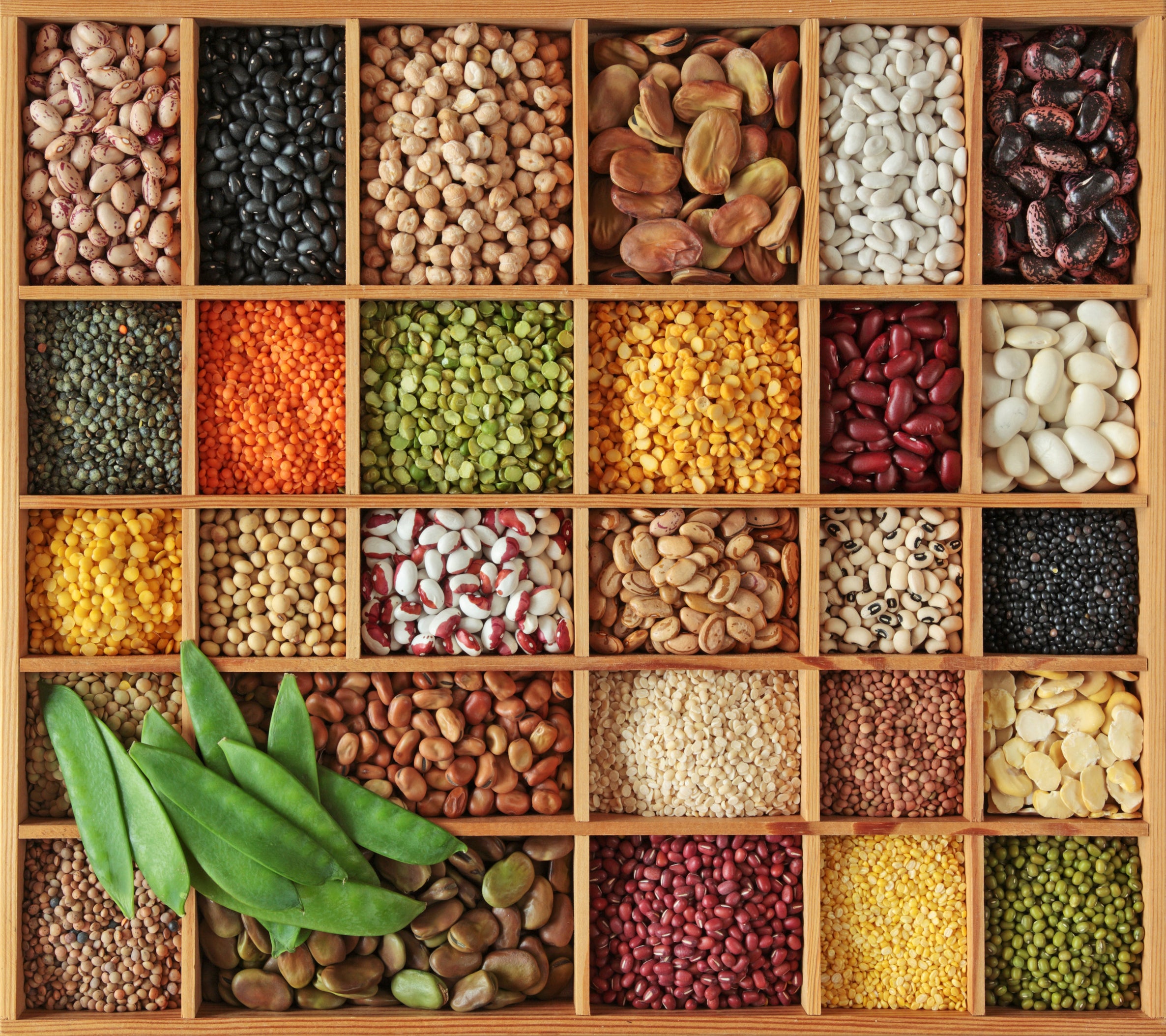 garden seed banks Preparedness Seed Bank