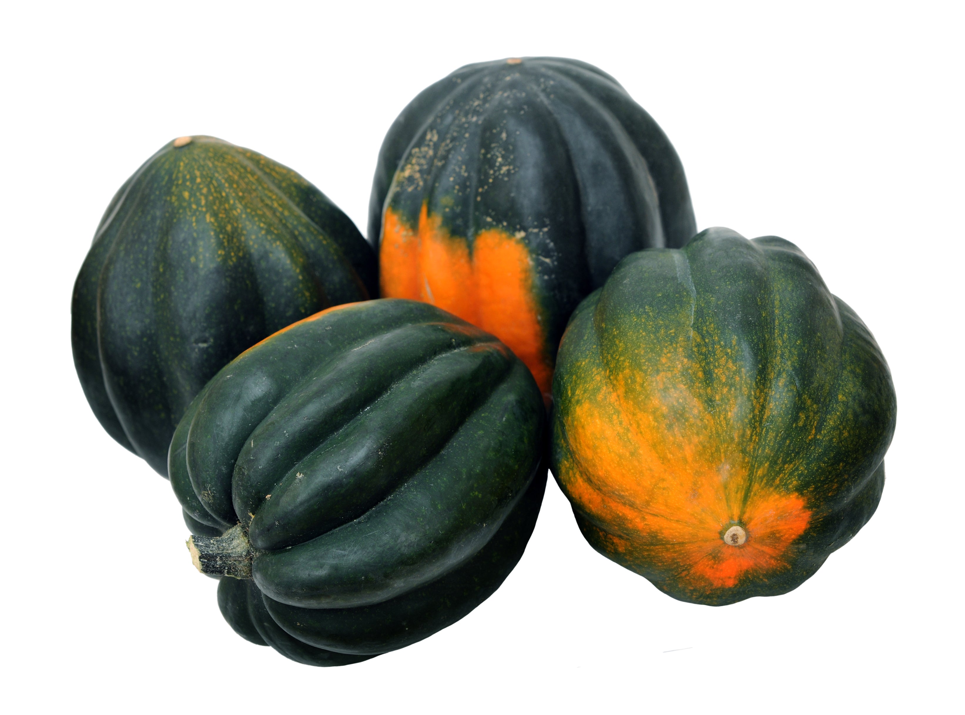 acorn squash seeds to plant Winter Squash, Table King Bush Acorn Seeds