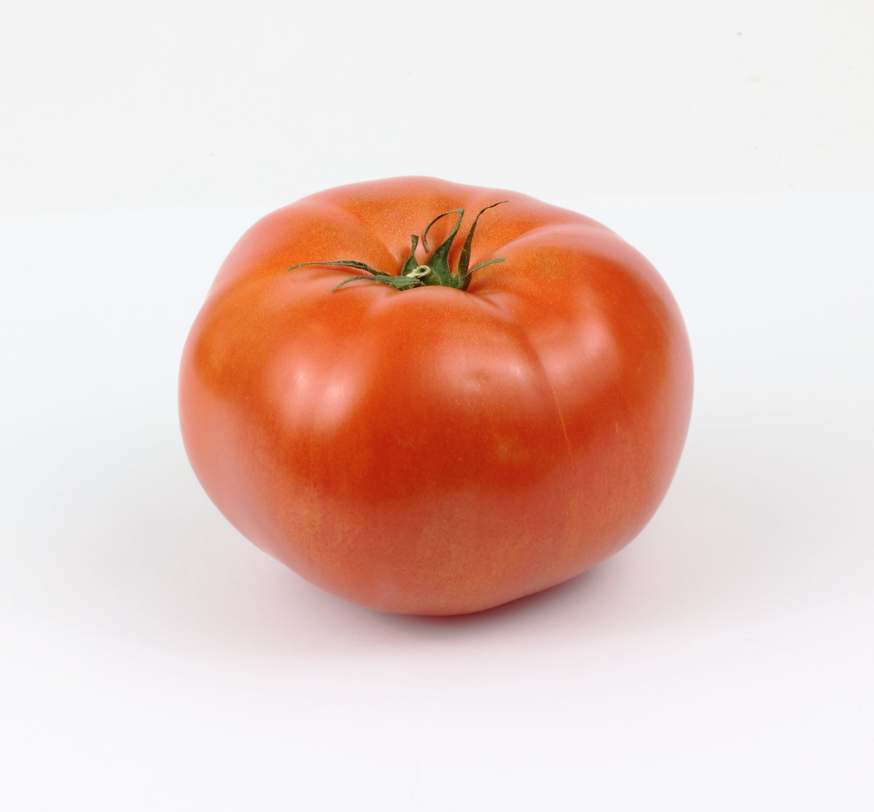 Borealis Beefsteak – North Circle Seeds