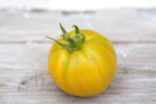 Tomato_LemonBoyHybrid1_grande.
