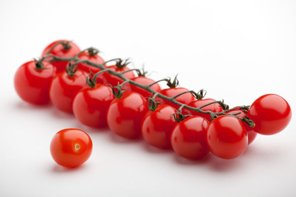 tomato ページ。 Torginol® | Tomato