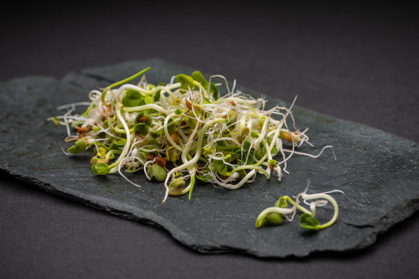 Triple_Sprout_Mix2_grande.jpg?