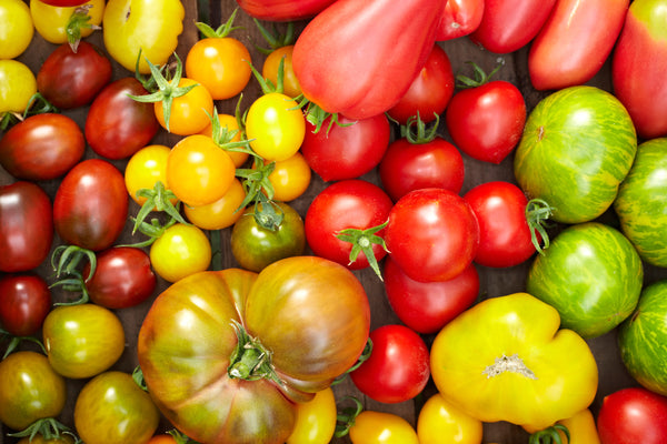 Value_Pack_Tomato_grande.jpg?v